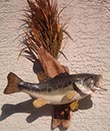 Arizona Taxidermy